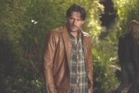 Trueblood11_24_200x400