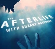 Afterlife_2009_241x208