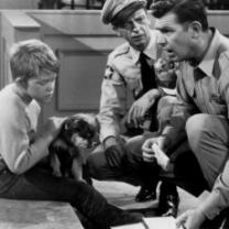 Andy_griffith_show_241x208