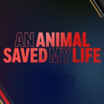 Animal_saved_my_life_2021_241x208