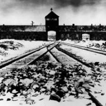 Auschwitz_hitlers_final_solution_241x208