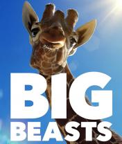 Big_beasts_241x208