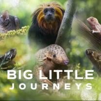 Big_little_journeys_241x208