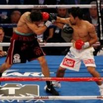 Boxings_best_of_2010_241x208