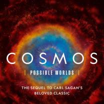 Cosmos_possible_worlds_241x208