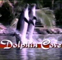 Dolphin_cove_241x208