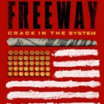 Freeway_crack_in_the_system_241x208