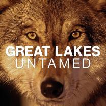 Great_lakes_untamed_241x208
