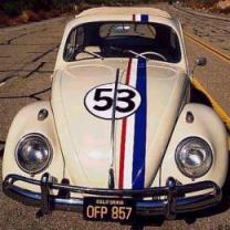 Herbie_the_love_bug_241x208