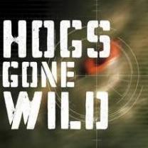 Hogs_gone_wild_241x208
