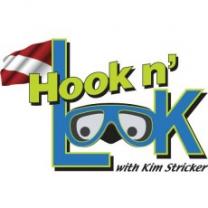Hook_and_look_241x208