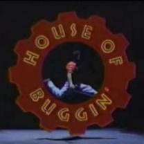 House_of_buggin_241x208