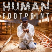 Human_footprint_241x208