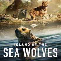 Island_of_the_sea_wolves_241x208