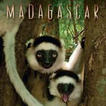 Madagascar_241x208