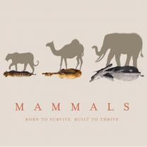 Mammals_2024_241x208