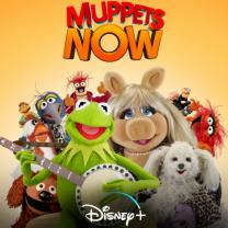 Muppets_now_241x208