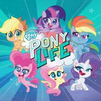 My_little_pony_pony_life_241x208