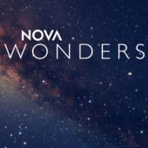 Nova_wonders_241x208