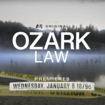 Ozark_law_241x208