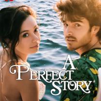 Perfect_story_241x208