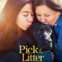 Pick_of_the_litter_2019_241x208