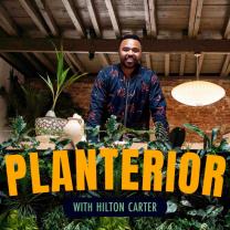 Planterior_with_hilton_carter_241x208