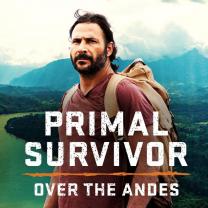Primal_survivor_over_the_andes_241x208