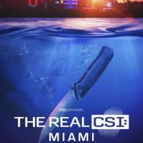 Real_csi_miami_241x208