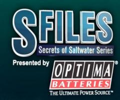 S_files_secrets_of_saltwater_series_241x208