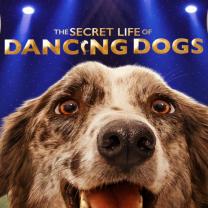 Secret_life_of_dancing_dogs_241x208