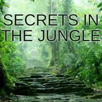 Secrets_in_the_jungle_241x208