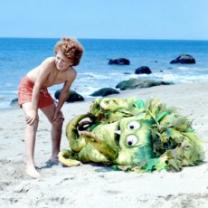 Sigmund_and_the_sea_monsters_241x208