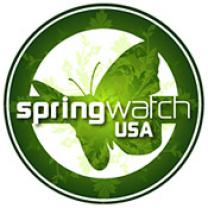 Spring_watch_usa_241x208