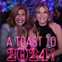 Toast_to_2024_241x208