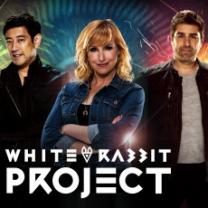 White_rabbit_project_241x208