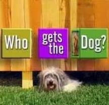 Who_gets_the_dog_241x208
