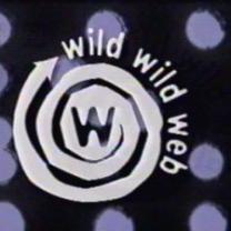 Wild_wild_web_241x208