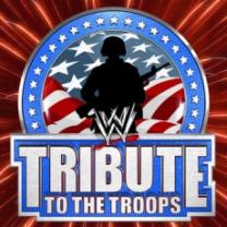 Wwe_tribute_to_the_troops_2013_241x208