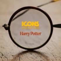 Icons_unearthed_harry_potter_241x208