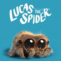Lucas_the_spider_241x208